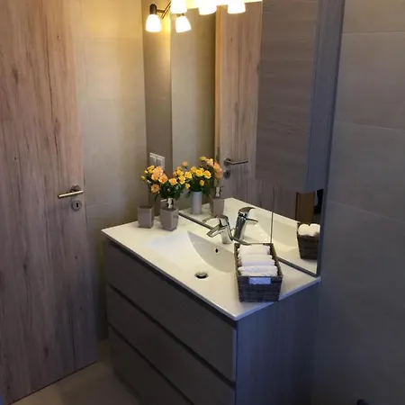 Apartament Coresi Apartment *