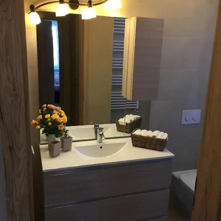 Apartament Coresi Apartment *